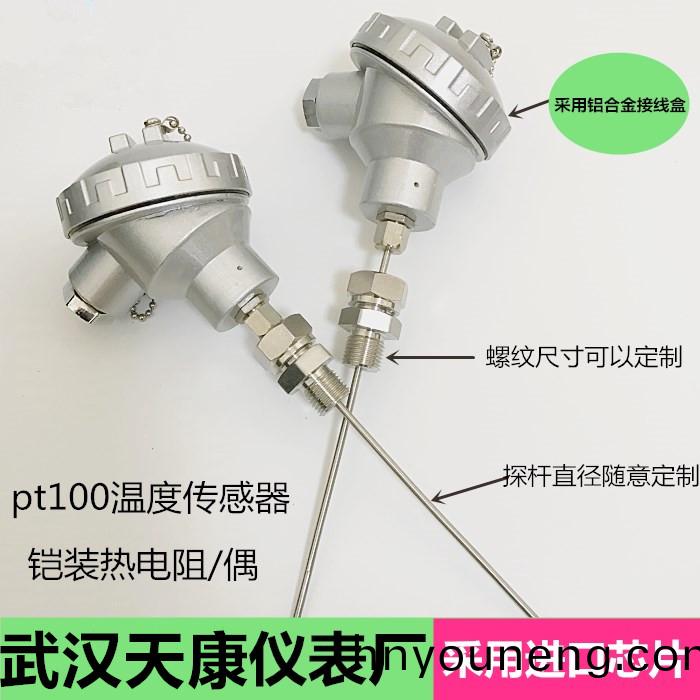 重(zhong)慶萬先生(sheng)訂購:鎧(kai)裝熱(re)電(dian)阻WZPK-238配(pei)溫度(du)控製錶(biao)